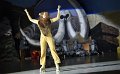 Lionking 0396